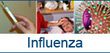 banner influenza 2